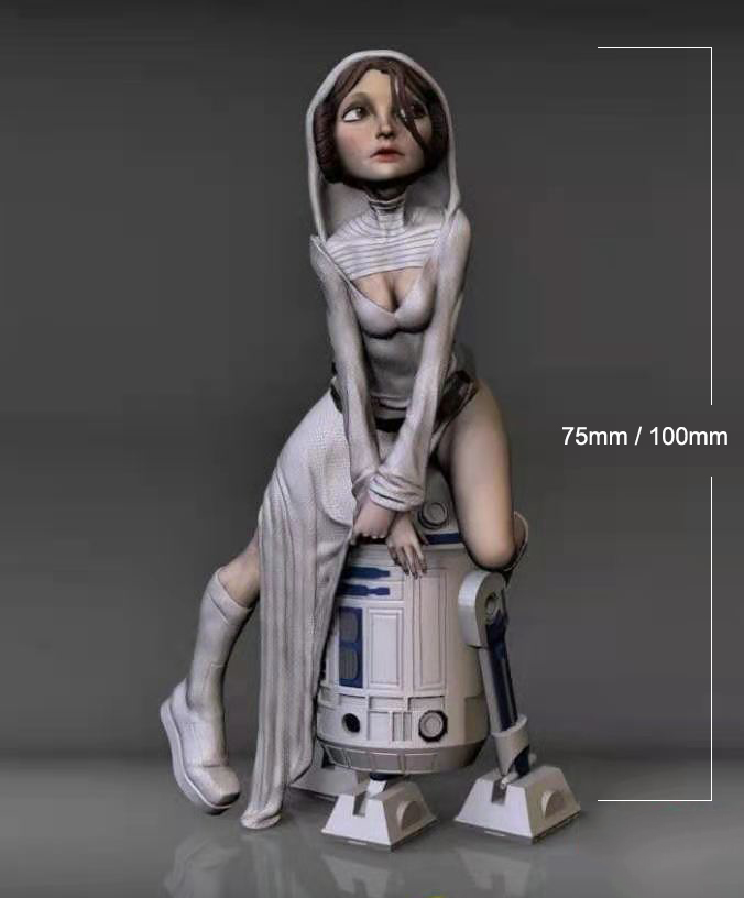 1/24 75mm 1/18 100mm Kit model - Model Kit Mecha Girl recensione e prezzo